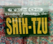 Estamos com filhotes de Shih-tzu a pronta entrega! Venham conferir!