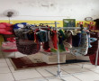Moda Pet - Macho e fêmea